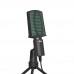 Настольный микрофон Ritmix RDM-126 черный-зеленый