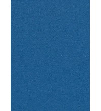 Обложки ПП пластик А4, 0,40мм, синие (50)